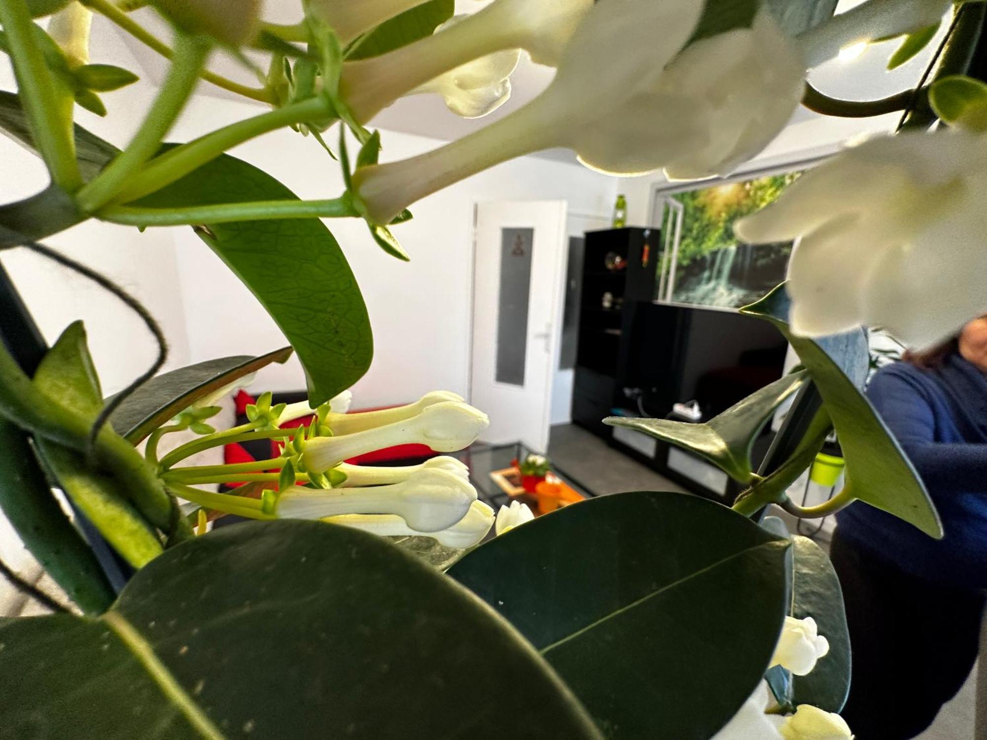 Le Charmant 18, Studio proche de toutes commodités Clermont-Ferrand Extérieur photo